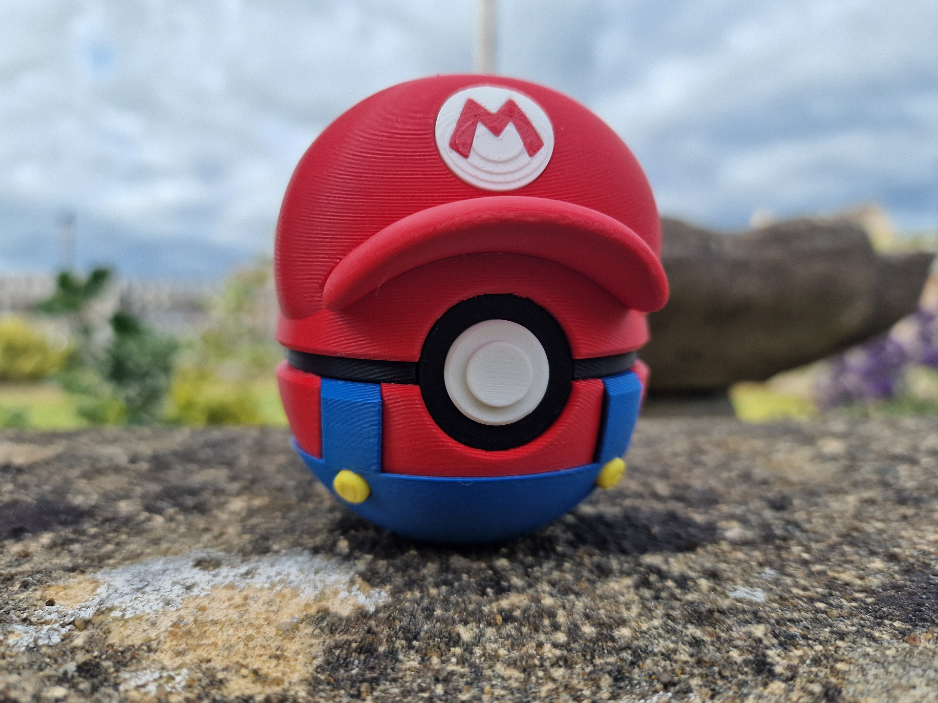 Super Mario Pokeball Collector’s Edition | Pokeball Fan Art