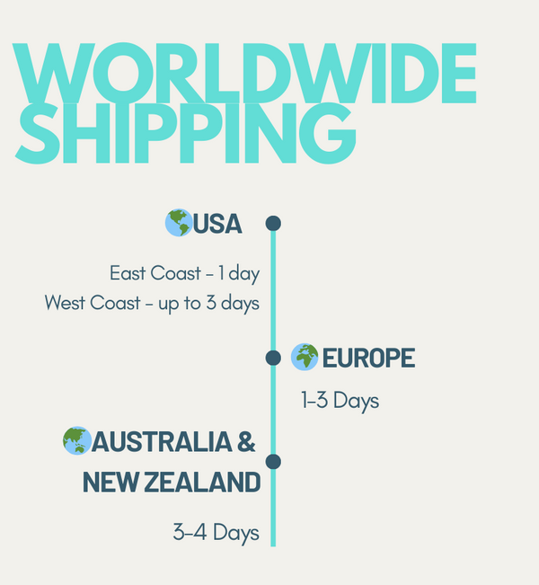 fast free worldwide shipping with ups